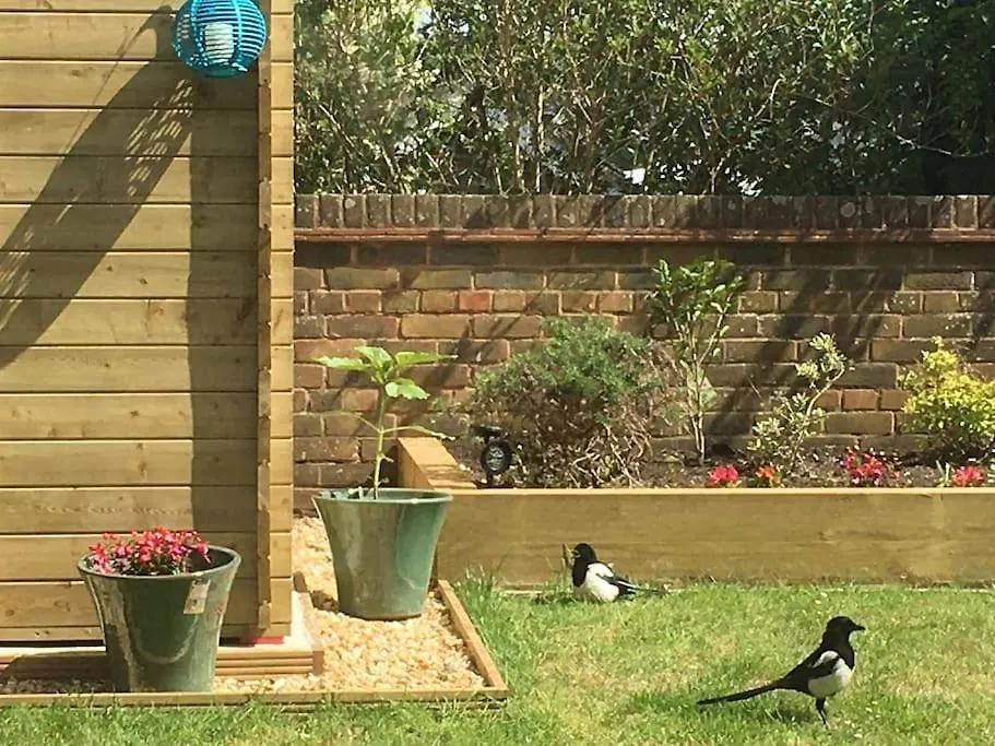 2 Bedroom House With Lovely Garden And Views Brighton